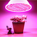 Pikkukuva 2 / 5: LED-kasvikasvatuslamppu, punainen ja sininen spektri, LED-kasvatusvalot E14, hydroponinen kasvikasvatuslamppu, mehikasvit
