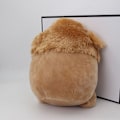 Miniatyrbild 6 av 10: 30 cm Squishmallow plyschleksak GRODA GRODA