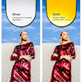 Pikkukuva 3 / 5: (60cm X 90cm) 2 in 1 Photo Studio Collapsible Multi-photo Disc Reflector, with Carrying Case