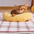 Miniatyrbild 4 av 5: 1/2/3/5 husdjurstillbehör för katter Kattdyna för katter med fridfull sömn gul yellow Set