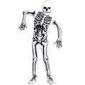 Miniatyrbillede 1 af 11: Skeletkostume til børn Skelet Halloween Skeletkostume til drenge XL