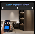 Miniatyrbilde 5 av 5: Tuya Zigbee 3.0 Smart LED-stripe-kontroller DC5-24V RGB+CCT RGBW RGB CCT Enkeltfarget dimmer Støtte Smart Life APP Stemmestyring