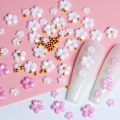 Miniatyrbillede 3 af 5: 3D farvede blomster negleforbedringer akryl negle