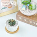 Miniatyrbilde 3 av 4: 500g Transparent Hvit - Tumbled Chips Rocks Gravel Krystaller, Små Knuste Kvarts Glass Rocks For