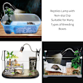 Miniatyrbillede 4 af 4: UVA UVB-lamper 25W og 50W, krybdyrlampe opvarmet skildpadde la