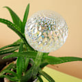Miniatyrbilde 2 av 6: 2/3/4 stk. Glassvanningskuler for planter Enkle automatiske lekkasjeplanter Vannkanne for alle potteplanter 3 pcs