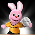 Miniatyrbillede 2 af 6: DURACELL Special batterier type Lithium 1620 Pakke med 1