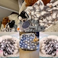 Miniatyrbillede 7 af 7: 1 Pak 3 Hvalpe Tæpper Super Bløde Varme Sovemåtter Grå Sød Print Fluffy Fleece Kæledyrs Flannel Kast Hundetæpper til Små Hunde Katte, (23\"x15\")