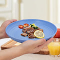 Miniatyrbild 5 av 5: Set med 4 stora 20 cm x 2,5 cm plasttallrikar, djupa campingtallrikar,