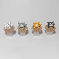 Pikkukuva 4 / 5: ABS Kissa Mukautettu Sarjakuva Anime Keycap Ala Taustavalaistu Keycaps Sopii Cherry MX Mekaaninen Näppäimistö Näppäinhattu Lapsille 0.03 Grey