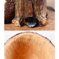 Miniatyrbillede 4 af 5: Sød pindsvin skrivebords penneholder (grønt blad), tandbørsteholder rejse