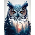Miniatyrbilde 1 av 5: Hard owl (30 * 40 1 stk) Diamantmaleri