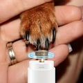 Miniatyrbillede 2 af 7: Elektrisk neglefil til kæledyr