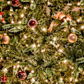 Miniatyrbilde 3 av 5: Eventyrlige lyslenker Mikro ris kobbertråd Xmas lys 20LED batteridrevet farge Color 2m20LED