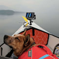 Miniatyrbillede 2 af 5: GPS-holderbase roterende Fishfinder-montering | GPS elektronisk Fishfinder-montering