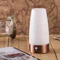 Miniatyrbillede 6 af 7: Rund Retro LED Natlampe Trådløs PIR Bevægelsessensor L