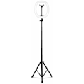 Miniatyrbilde 1 av 3: 10\" 10W 5V 2A Teleskopisk sammenleggbar integrert Live Fill Light 3 lysmoduser 10 lysstyrke