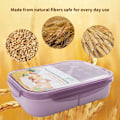 Miniatyrbilde 4 av 5: Lunchboks for barn, ideell lekkasjesikker lunsjboks, Mom's Choice Kids Lunch Box, ingen BPA og ingen kjemiske fargestoffer Bento-boks for barn (lilla M)