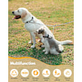 Miniatyrbild 4 av 5: Dubbel läderkoppel för hund (S-3,0 mm*50 cm) Dubbel läderkoppel för hund