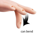 Miniatyrbillede 4 af 5: Manicure Øvelseshænder & Fingre Neglehånd Øvelsesmodel