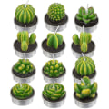 Miniatyrbillede 1 af 5: 12 Kaktuslys, Kunstige Plante Sukkulente Lys, Valentinsdag Te Lys Roser Lys til Fest, Bryllup, Mors Dag, Hjemmeindretning