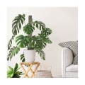 Miniatyrbild 4 av 5: Plast Monstera Moss Stänger Mesh Kit, Självbevattnande Moss Stång för Växter, Monstera Stöd