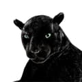 Miniatyrbillede 4 af 5: Deluxe Paws Stor Sort Panter Realistisk Plysdyr Blød Legetøj 100cm