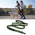 Reflective Dog Training Leash, Neoprene Padded Handle and Metal Hook, Nylon Leash for Small Dogs