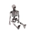 2025 Simulated Skeleton Prop Halloween Skeleton Small Human Body Bone Model