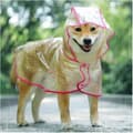 Hunderegnfrakk, regnponcho for små og mellomstore hunder, transparent