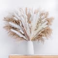 85PCS Natural Dried Pampas Grass Bouquet, Boho Home Decor Bouquet