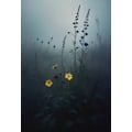 Miniatyrbild 2 av 2: Vild Blomma Affisch 50×70 CM