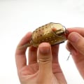 Miniatyrbilde 2 av 8: 1/2stk Karpefiske Agn Mater Burfiskeagn Kurvholder 40g2pcs