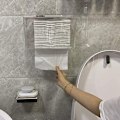 Pikkukuva 5 / 7: Seinälle kiinnitettävä paperipyyhe-annostelija Paperipyyhepidike WC