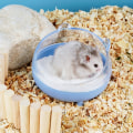 Miniatyrbilde 6 av 10: Hamster Sand Bad Container Hamster Sand Bad Box LYS GRØNN Light Green