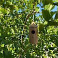 Miniatyrbild 8 av 10: Hummingbird House Hummingbird Nest C C C