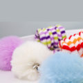 Miniatyrbillede 5 af 10: 2 Stk Scratch Rope Cat Stick Interactive Cat Hængelegetøj LILLA Purple
