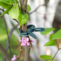 Miniatyrbilde 5 av 10: 50 Stk Tomatklips Trellis Clips 5CM X 3,5CM 5cm x 3.5cm