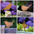 Miniatyrbild 5 av 10: Rusty Metal Birds Bird Figurine C C C