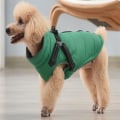 Miniatyrbillede 3 af 10: Hundetøj til hunde-sele Vandtæt hundejakke GRØN L green L