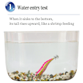 Pikkukuva 5 / 10: kutoa Squid Hook Octopus Bait F F F