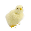 Pikkukuva 1 / 10: Vocalize Plush Chick Simulation Furry Chicken 4-WITH Crow 4-with Crow