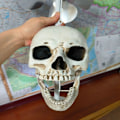 Miniatyrbillede 7 af 7: Skull Wind Spinner Wind Spinner SORT black