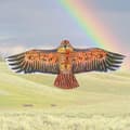 Miniatyrbild 5 av 10: Flat Eagle Kite Bird Drakar TYP B TYP B Type B