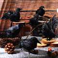 Pikkukuva 5 / 10: Keinotekoiset Crows Feathered Raven LEFT LOOK LEFT LOOK Left Look