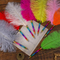 Pikkukuva 6 / 10: 2kpl Feather Pen kuulakärkikynä 08 08 08