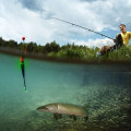 Miniatyrbilde 5 av 10: Fishing Night Float Ball Boia 60G 60G 60g