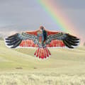 Miniatyrbillede 8 af 10: Eagle Kite Bird Kites TYPE C TYPE C Type C