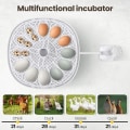 Pikkukuva 5 / 8: 12 Egg Inkubator Hatch Machine Brooder