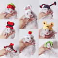 Miniatyrbillede 3 af 10: Hamsterhat Smådyrhat TYPE C TYPE C Type C